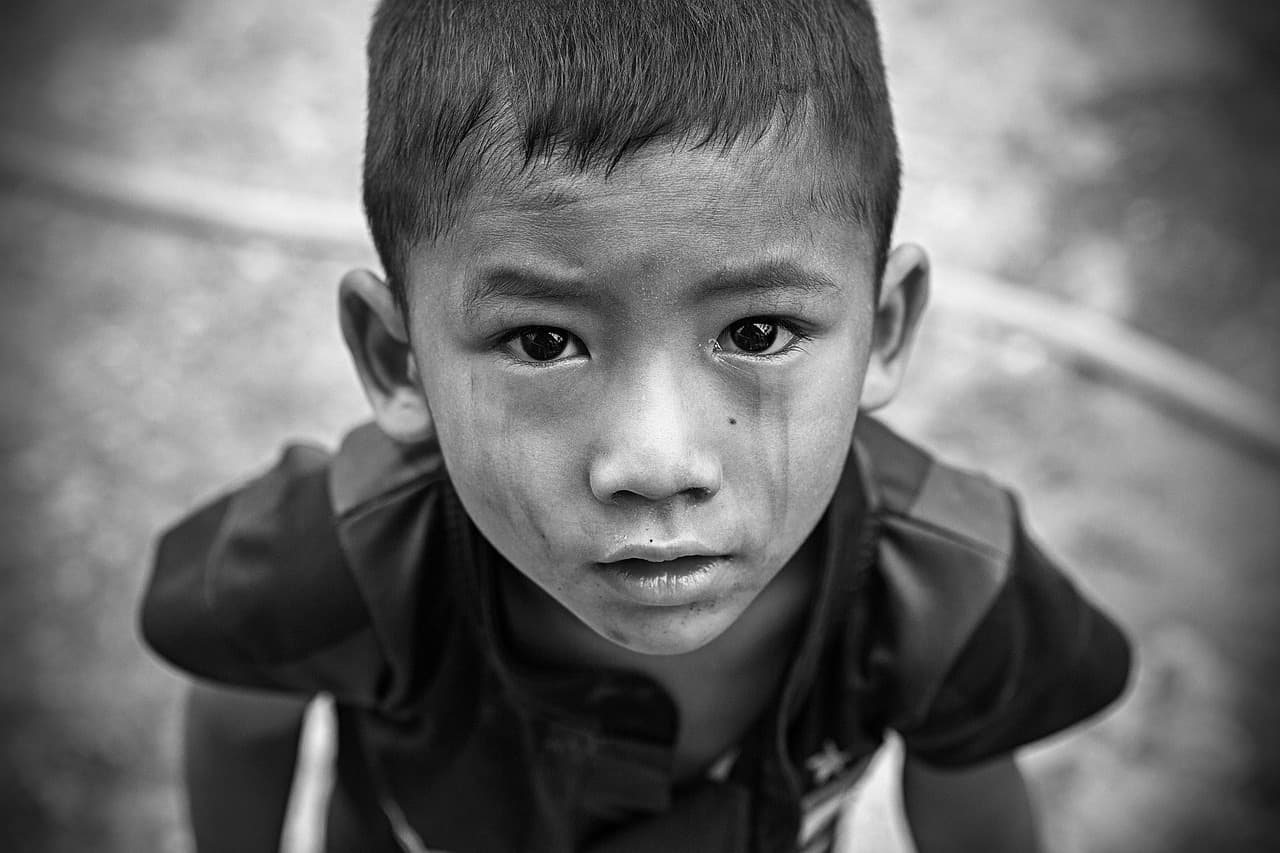 Government Donation | Support